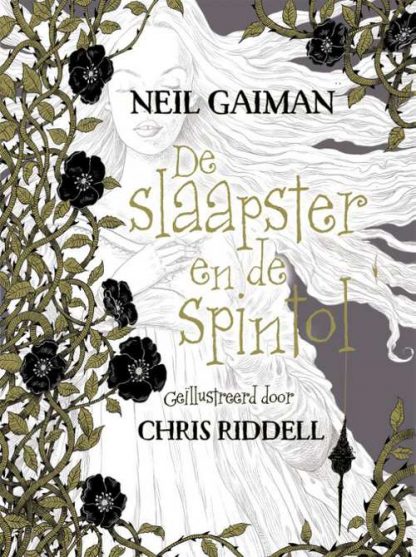De slaapster en de spintol van Neil Gaiman